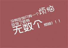 柱子与娘目录阅读免费阅读
